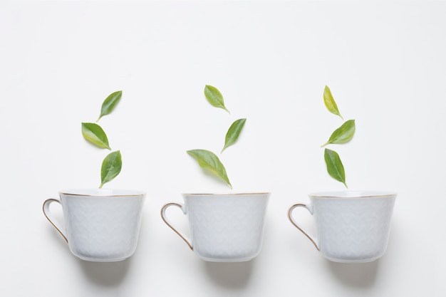 Green leaves over the three cup of tea on white background