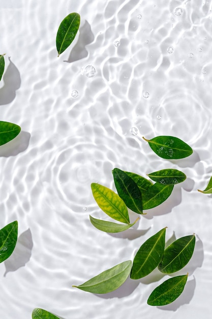 Green leaves on water surface. Beautiful water ripple background for product presentation. Copy space