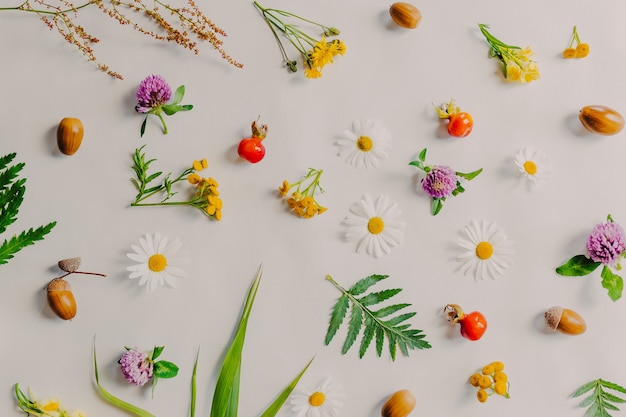 Foglie verdi su sfondo bianco. motivo con ghiande, radica, foglie. reticolo di fiori su sfondo bianco.