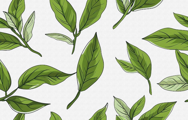 green leaves on a white background with a blue background