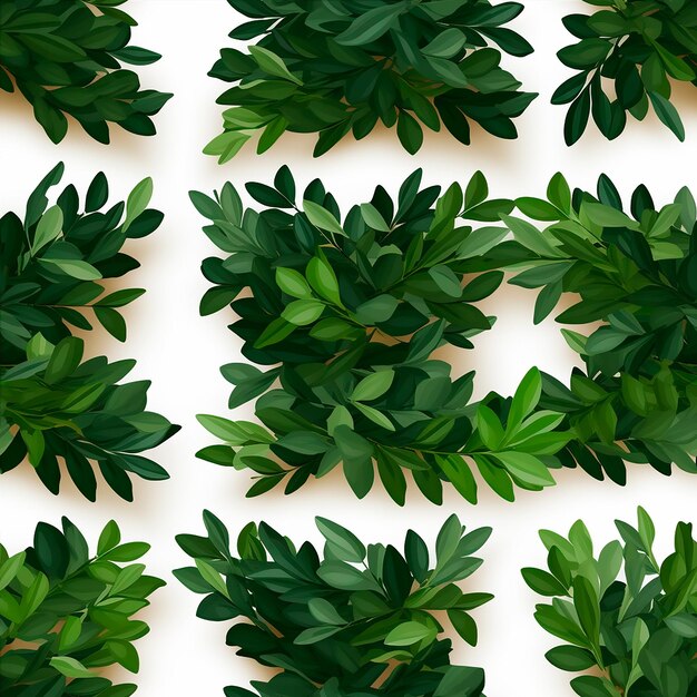 green leaves on a white background