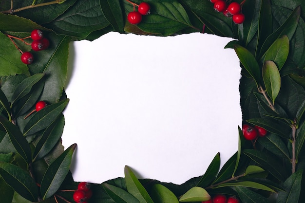 Green leaves with red berries background with frame