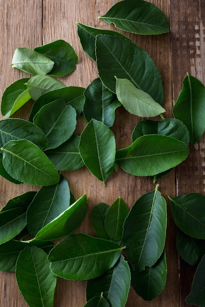 Green leaves on wooden background