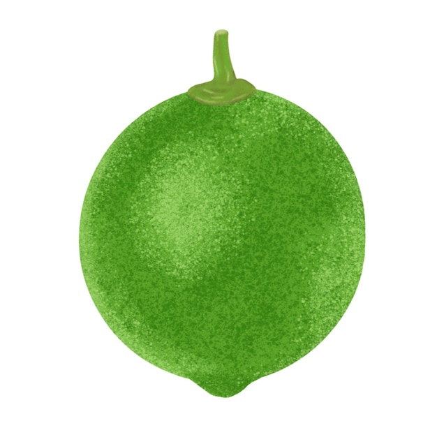 Green lemon illustration color painting