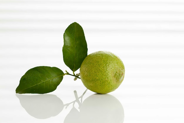 Foto limone verde su sfondo bianco, primo piano