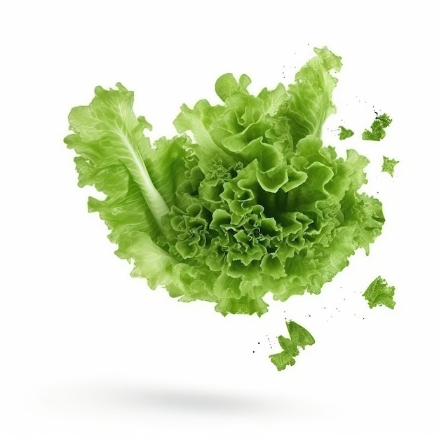 A green lettuce is flying in the air.