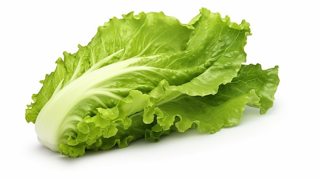 Photo a green lettuce is laying on a white surface