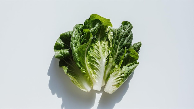 a green lettuce is shown on a white surface