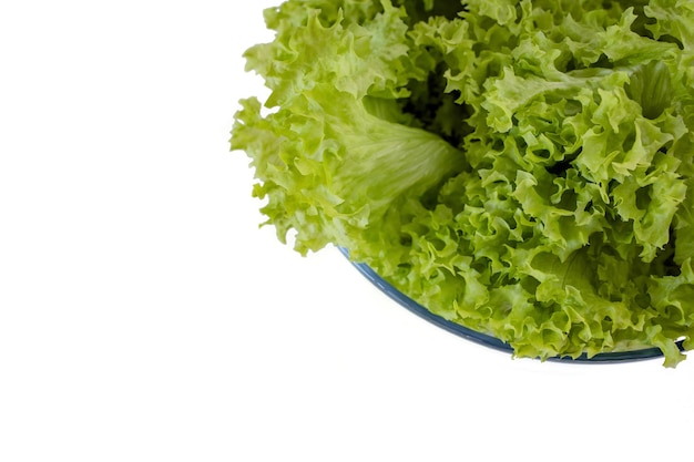 Green lettuce leaves in a glass bowl, isolated