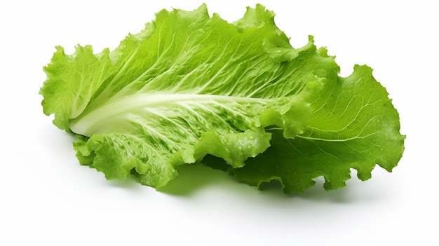 Photo a green lettuce that is laying on a white surface