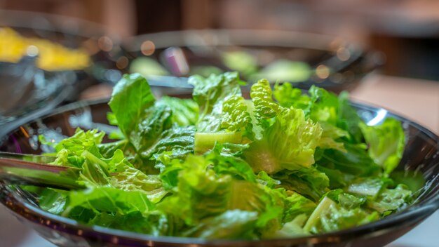 Green Lettuce Vegetable