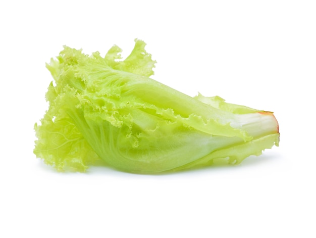 Green lettuce on white background