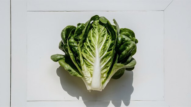 Green lettuce on a white surface