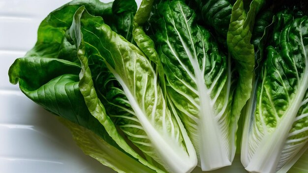 Photo green lettuce