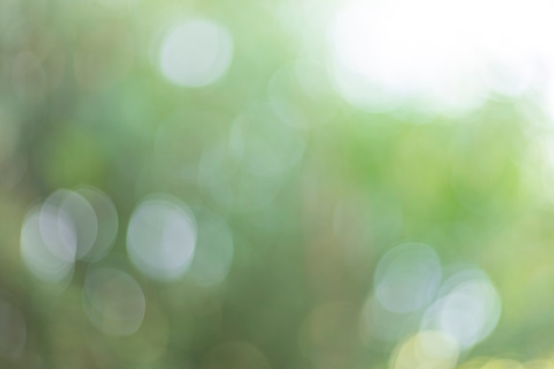 Green light bokeh background texture background