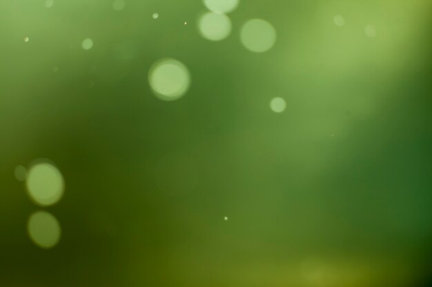 Green lights bokeh background.