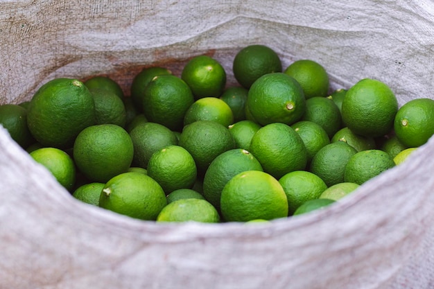 Green Lime-citrusvruchten vers van de boerderijplantage