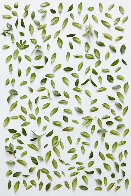 Green little leaves represented over white background separately. Many little leaves for decorating any post card or celebration card.