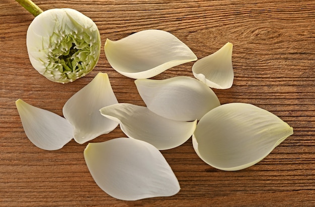 Green lotus flower on wood background