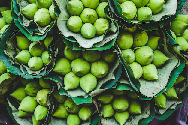 green lotus flowers