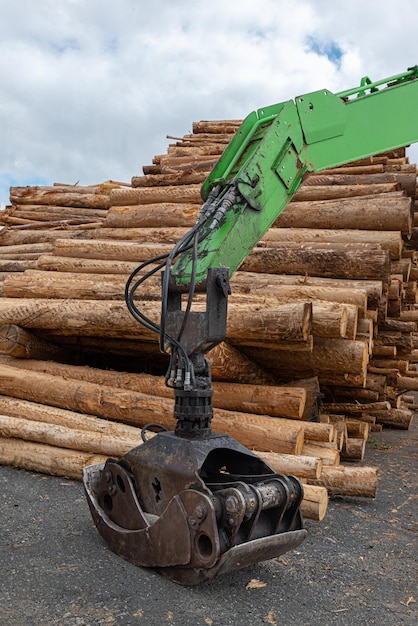 Foto macchina verde per il trasporto di tronchi e cataste di alberi abbattuti per l'industria del legno