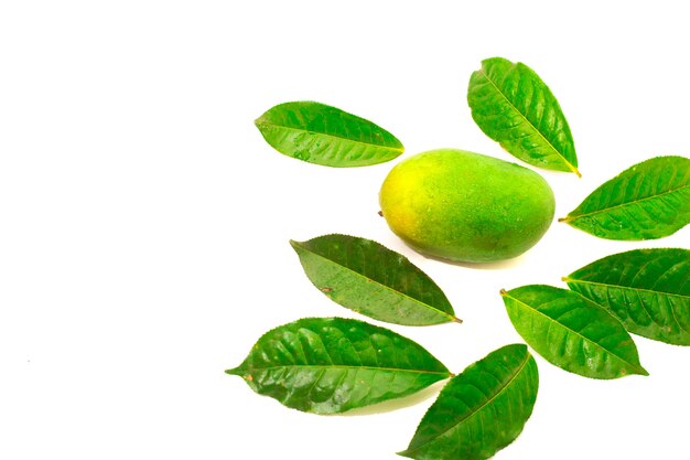 Green Mango fruit on white background