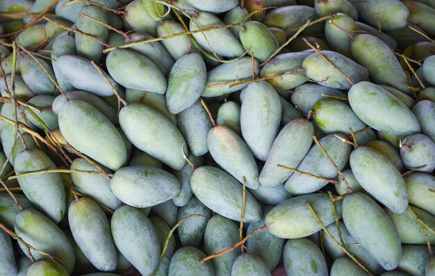 Green mango for sale in the fruit market in Thailand. Fresh raw mango texture background harvest from tree agriculture asian