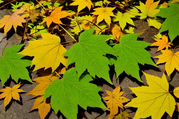 Green maple leafs