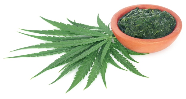 Green and mashed leaves of medicinal cannabis over white background