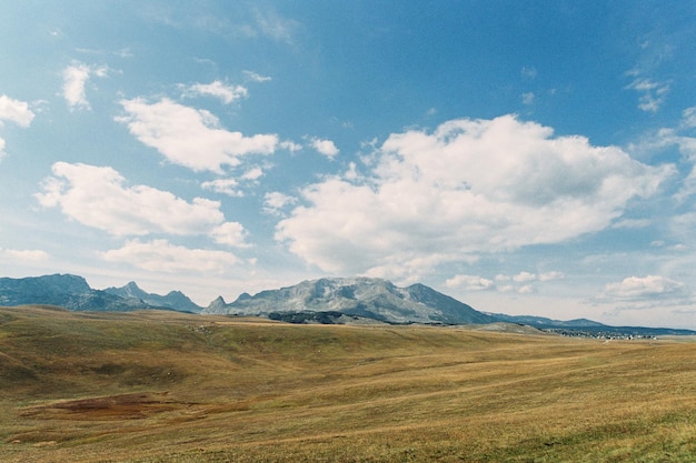 Green meadow against the backdrop of a mountain range. High quality photo