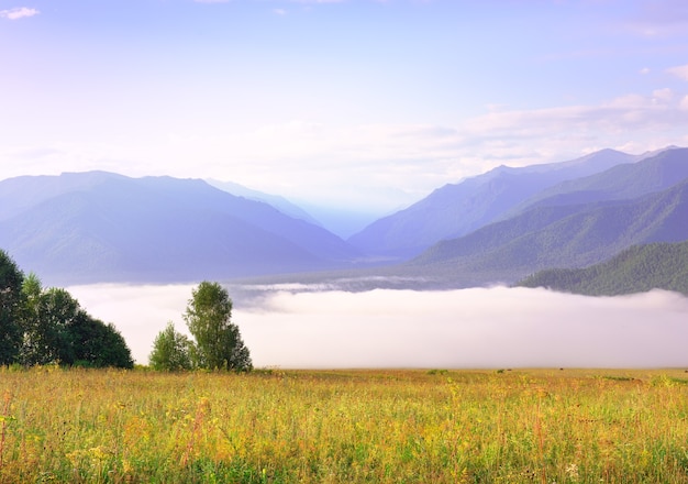 A green meadow against the background of blue mountains under the morning sky. Siberia, Russia