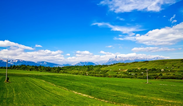사진 슬로바키아의 배경에 녹색 초원과 산