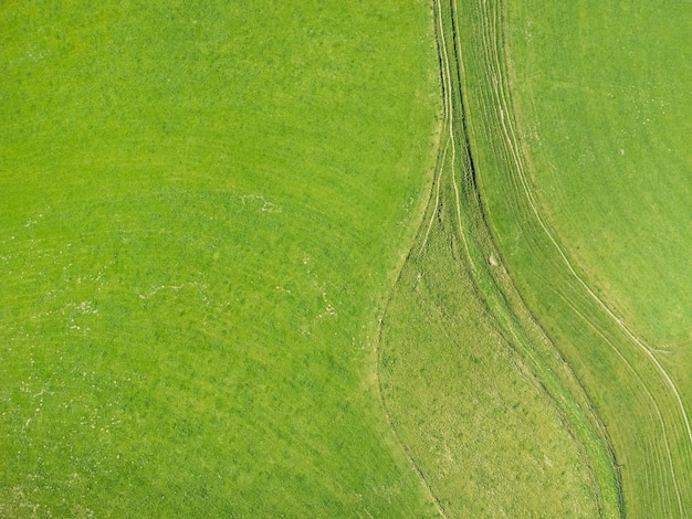 Green meadow background aerial view