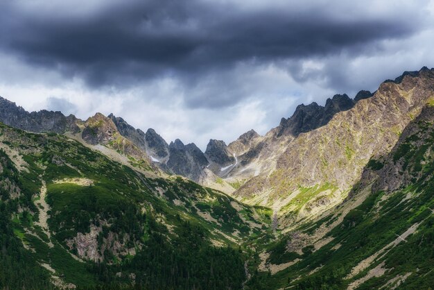 Зелёный луг и голубое небо с облаками над горами Украина