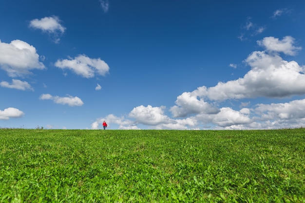 Green meadow and blue sky with clouds