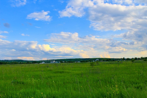 Green meadow and blue sky