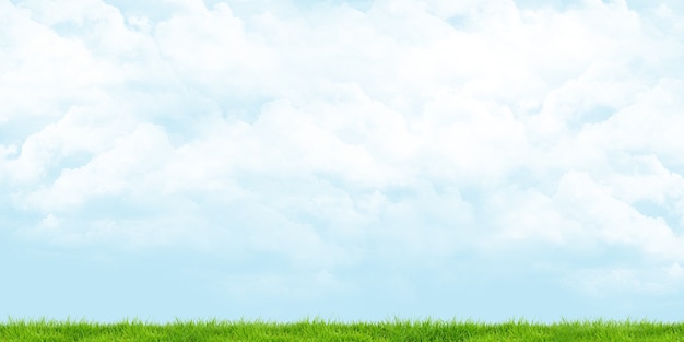 Photo green meadow cloudy sky panoramic view