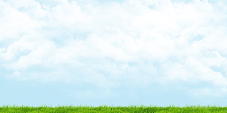 Photo green meadow cloudy sky panoramic view