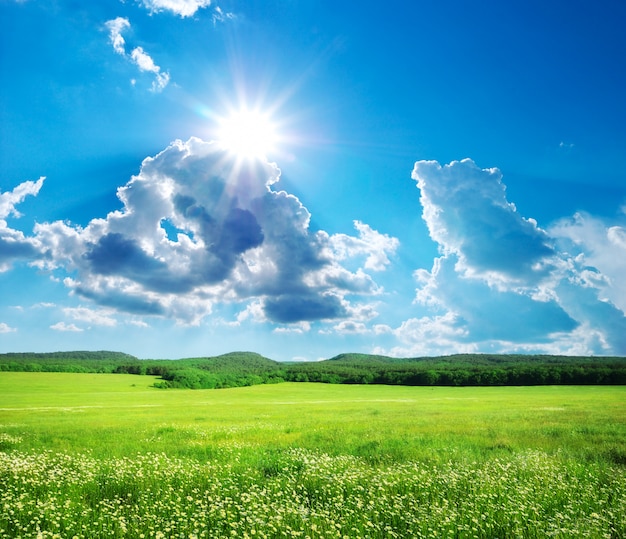 Green meadow in mountain.