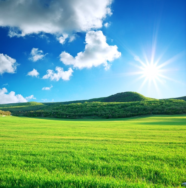 Premium Photo | Green meadow in mountain