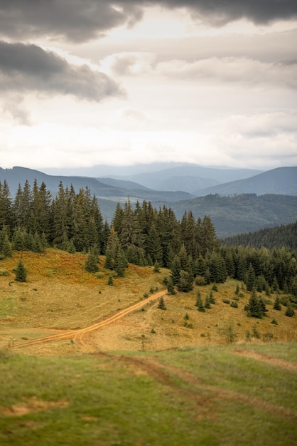 Зеленый луг в горах