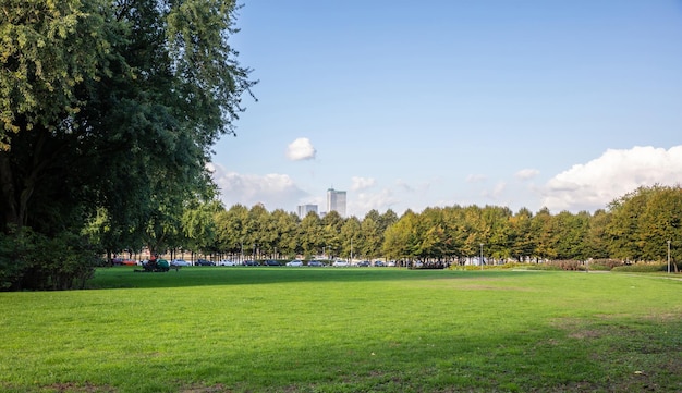 Green meadow in a park in a city background