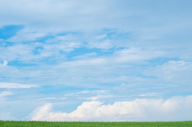 地平線に青い空とふわふわの雲がある緑の草原