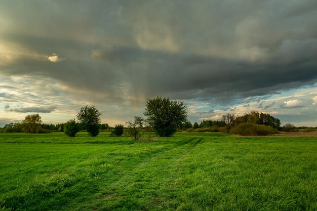 Photo green meadow with road and rain cloud nowiny lubelskie poland