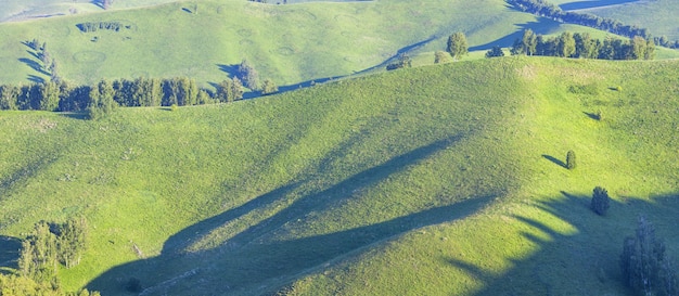 Prati verdi e pendii montani, luce del mattino