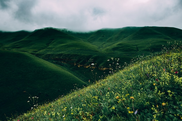 green meadows mountains cloudy