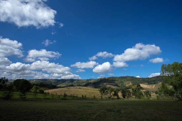 写真 青い空と雲の背景と緑の牧草地