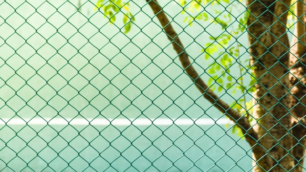 Green metal net at the park