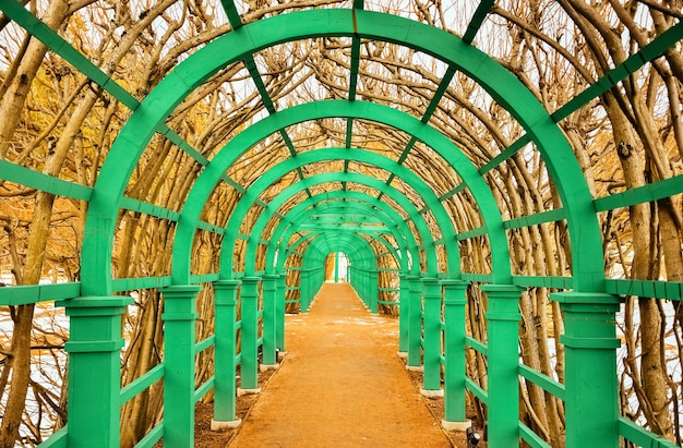 Green metal tunnel in garden, metal green frame, garden tunnel