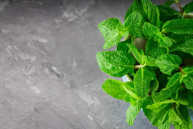 Foto menta verde in una ciotola blu su sfondo grigio